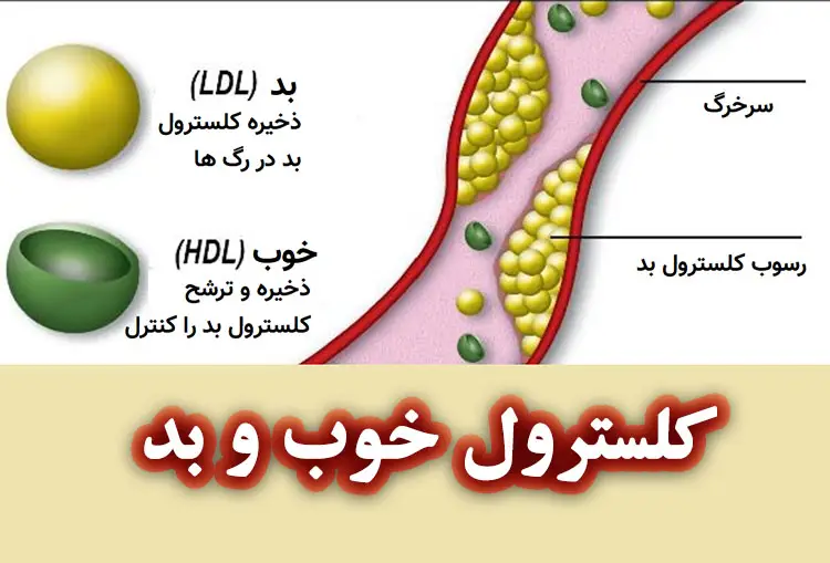 تفاوت کلسترول خوب و بد در چیست؟