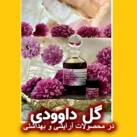 گل داوودی