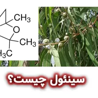1،8- سینئول