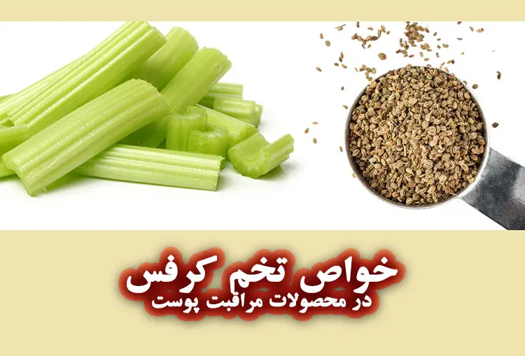 خواص تخم کرفس برای پوست چیست؟