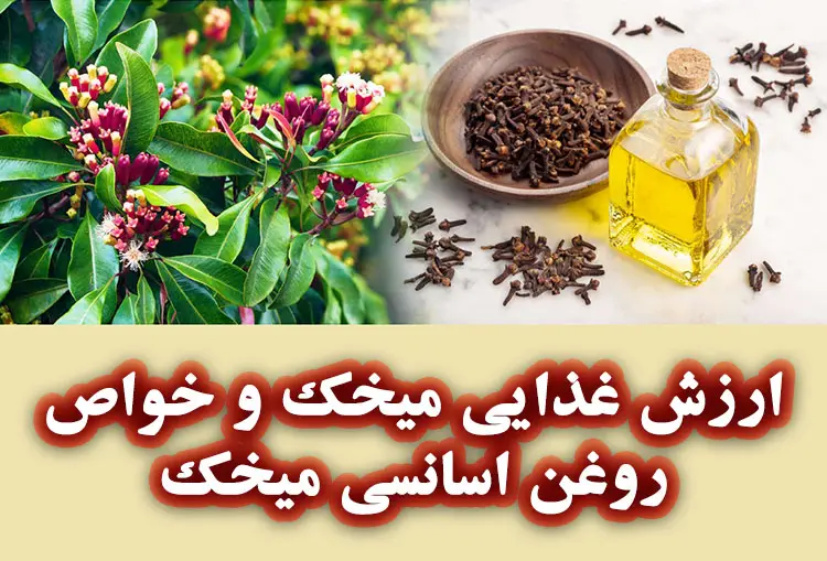 خواص میخک و روغن اسانسی میخک