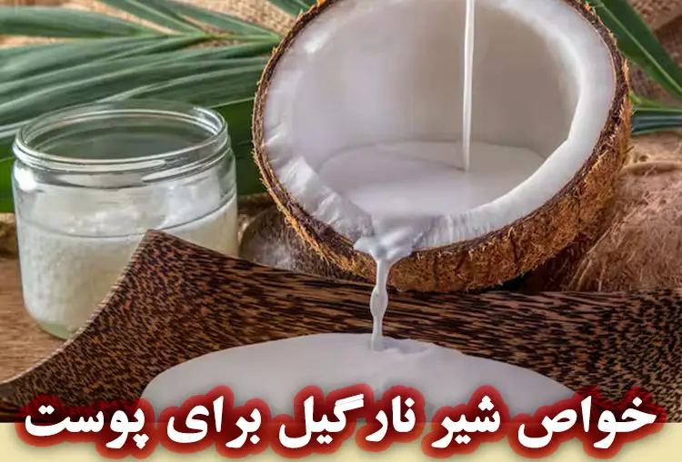شیر نارگیل