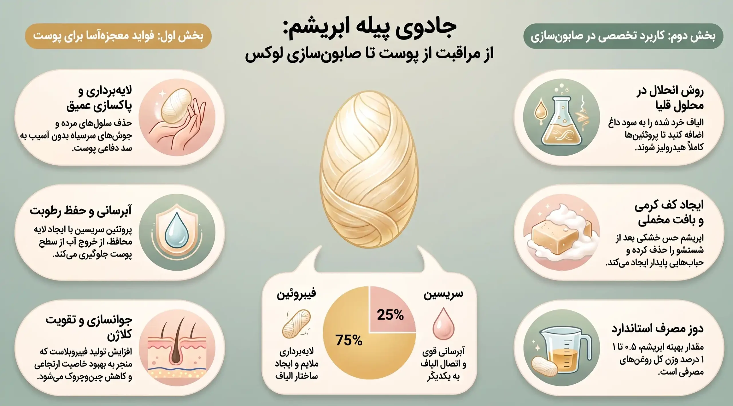 اینفوگرافیک فواید پیله ابریشم در صابون سازی اینفوگرافیک فواید پیله ابریشم در صابون سازی