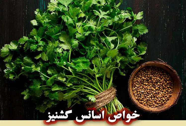 خواص اسانس گشنیز برای پوست و مو