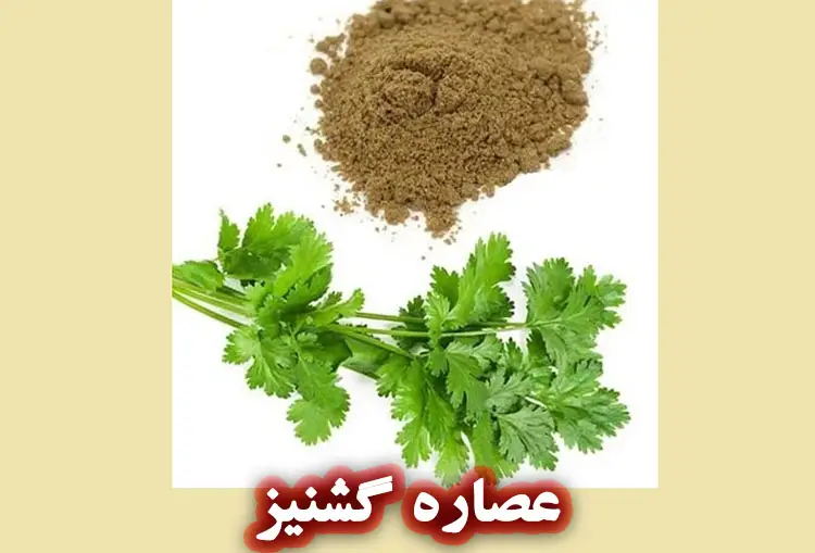 عصاره برگ گشنیز