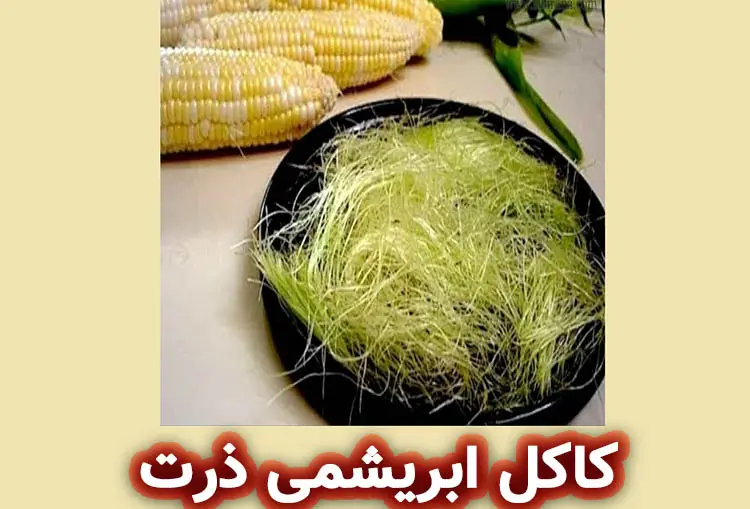 کاکل ابریشمی ذرت
