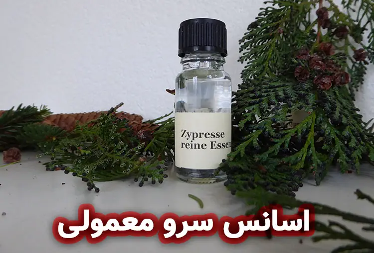 اسانس روغنی سرو