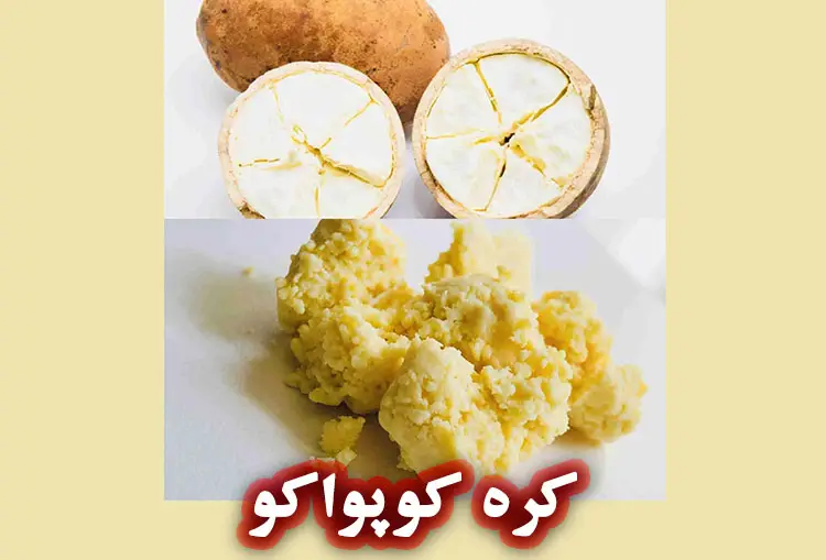 کره کوپواکو چیست؟