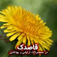 قاصدک : فواید و کاربرد در ساخت صابون