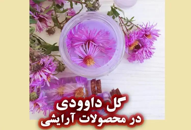 خواص گل داوودی برای پوست