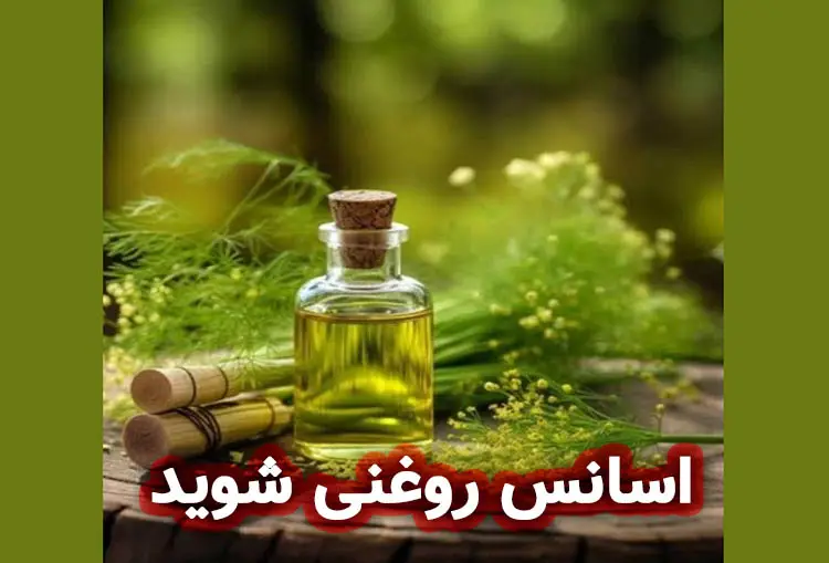 اسانس روغنی شوید