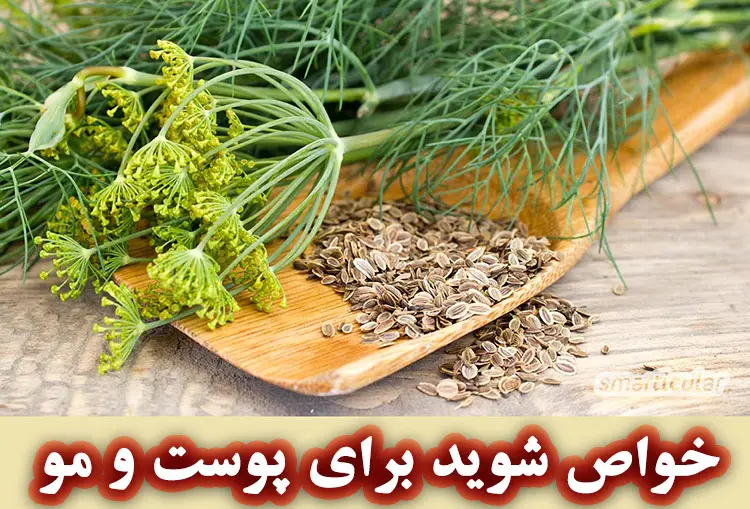خواص شوید برای پوست و مو