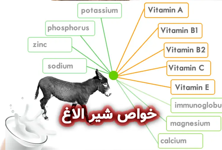 ترکیبات صابون شیر الاغ
