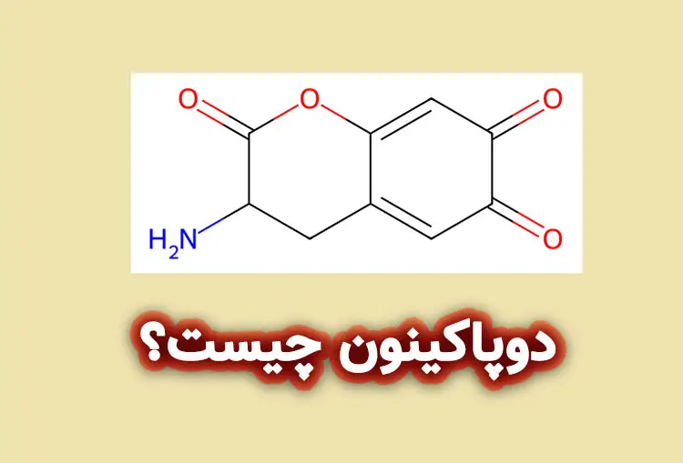 دوپاکینون چیست؟