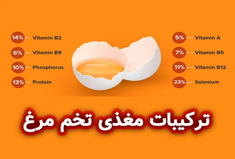 استفاده از تخم مرغ در ساخت صابون: فواید و کاربردها 1 ترکیبات مغذی تخم مرغ