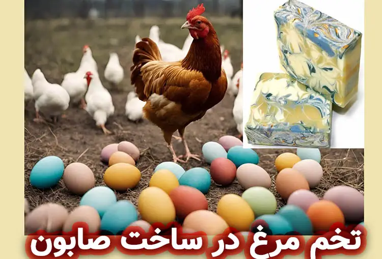 استفاده از تخم مرغ در ساخت صابون: فواید و کاربردها 2 تخم مرغ در ساخت صابون