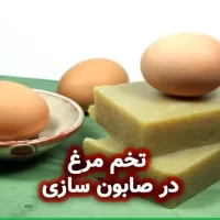 تخم مرغ