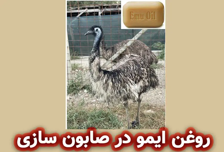 فواید روغن ایمو در صابون‌ سازی