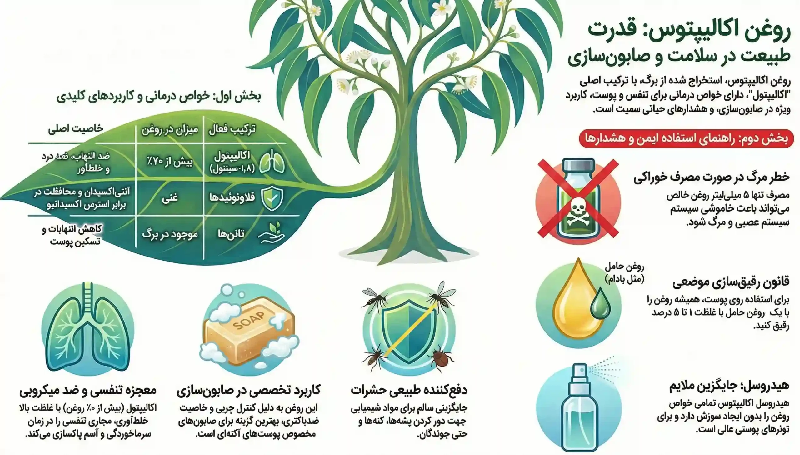 اینفوگرافیک روغن اکالیپتوس