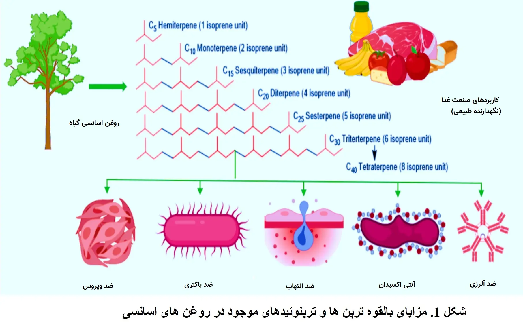 شکل 1. مزایای بالقوه ترپن ها و ترپنوئیدهای موجود در EOs