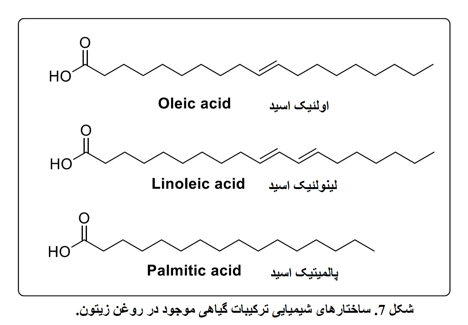 شکل 7. ساختارهای شیمیایی ترکیبات گیاهی موجود در روغن زیتون.
