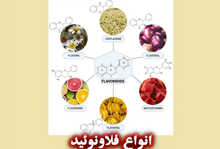 انواع فلاونوئید ها