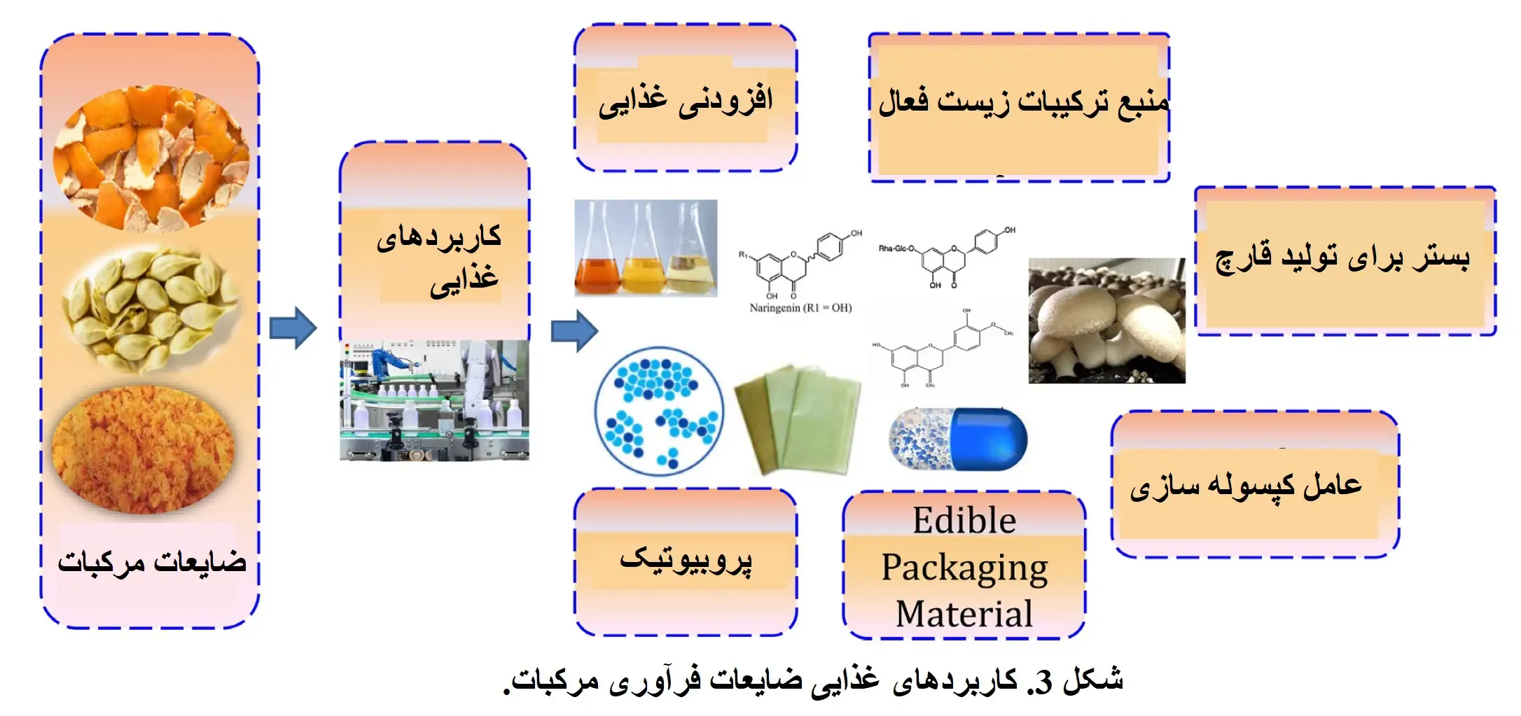 شکل 3. کاربردهای غذایی ضایعات فرآوری مرکبات