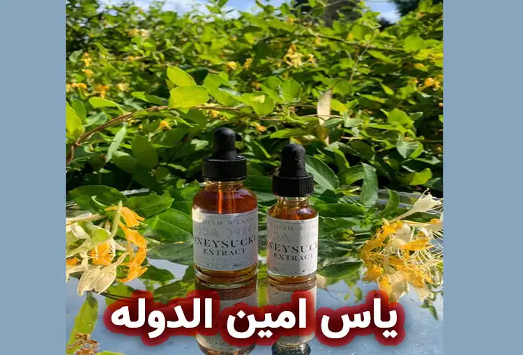 روغن اسانسی یاس