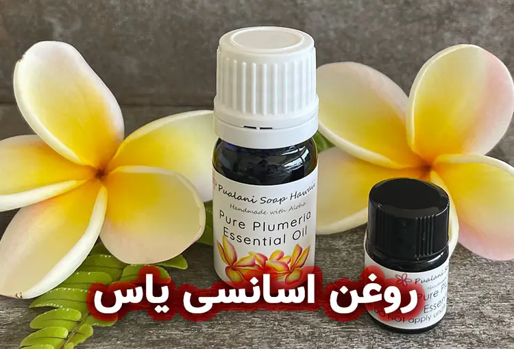 روغن اسانسی یاس