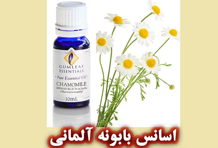 اسانس بابونه آلمانی (German Chamomile Essential Oil)