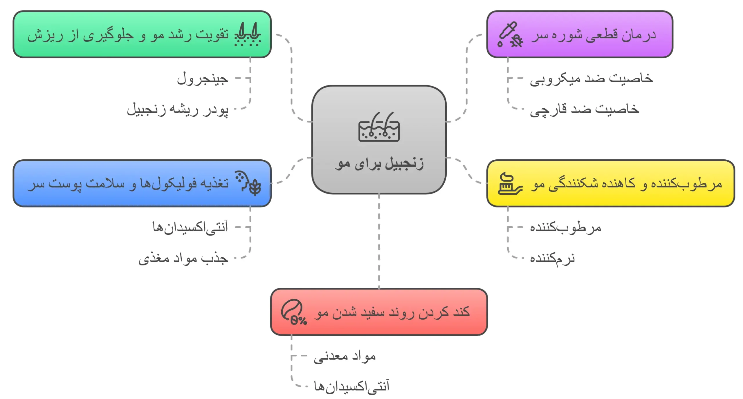 فواید بی‌نظیر زنجبیل برای مو 