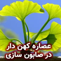 عصاره کهن‌ دار