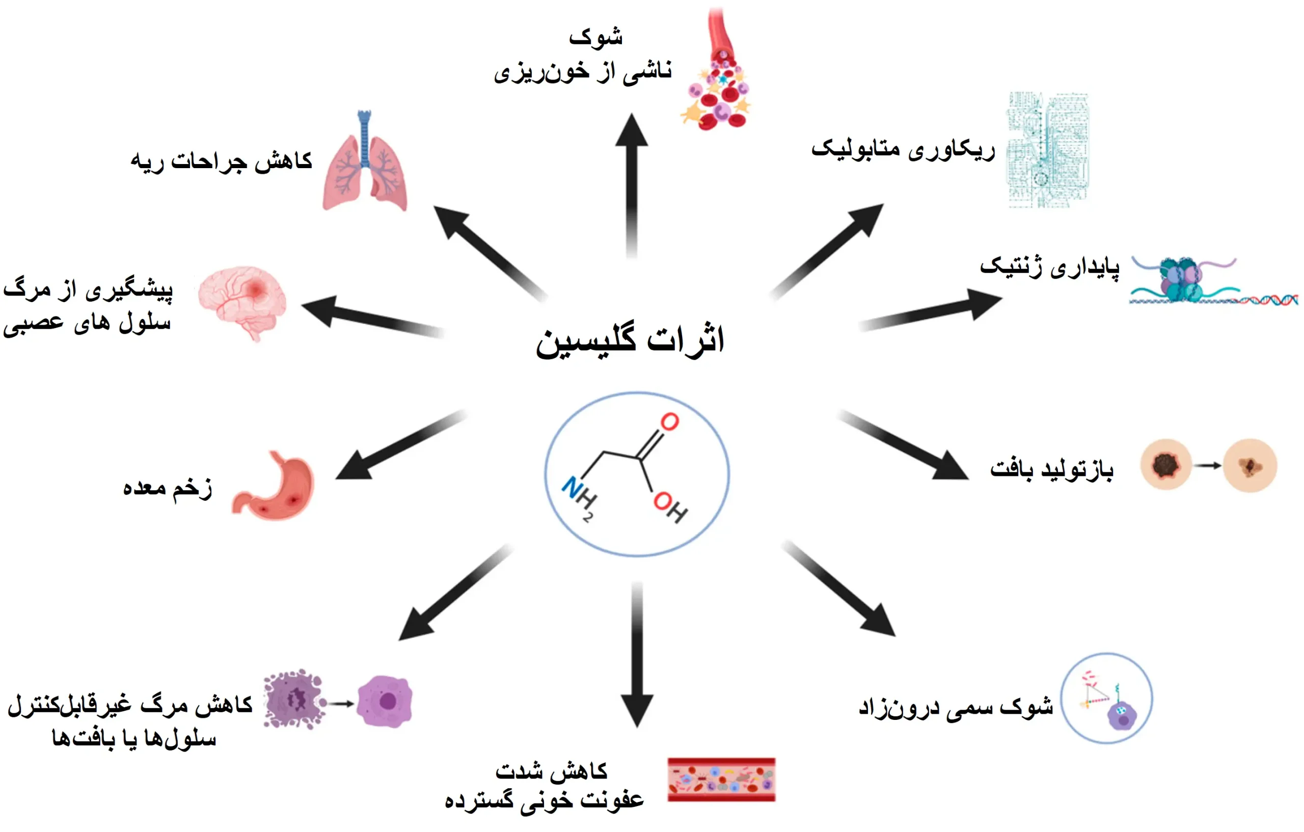 کاربردهای گلیسین