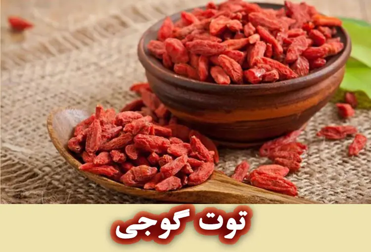توت گوجی (Goji berry)