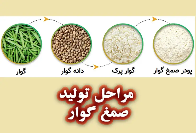 صمغ گوار چیست؟
