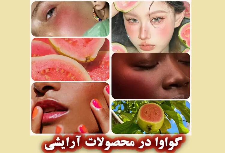 گواوا: راز جوانی پوست و جلوگیری از چین و چروک
