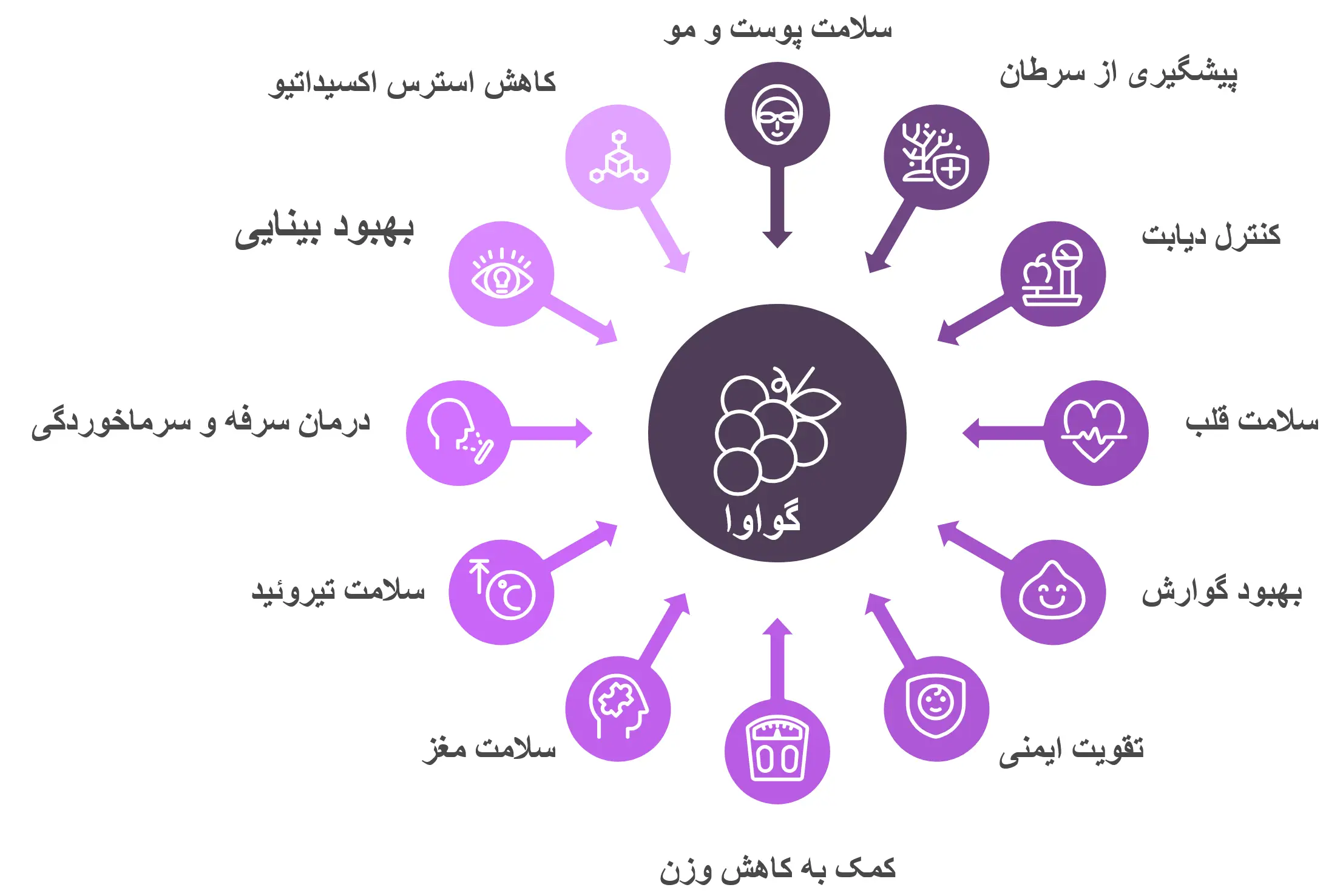 خواص دارویی و درمانی بی‌نظیر گواوا