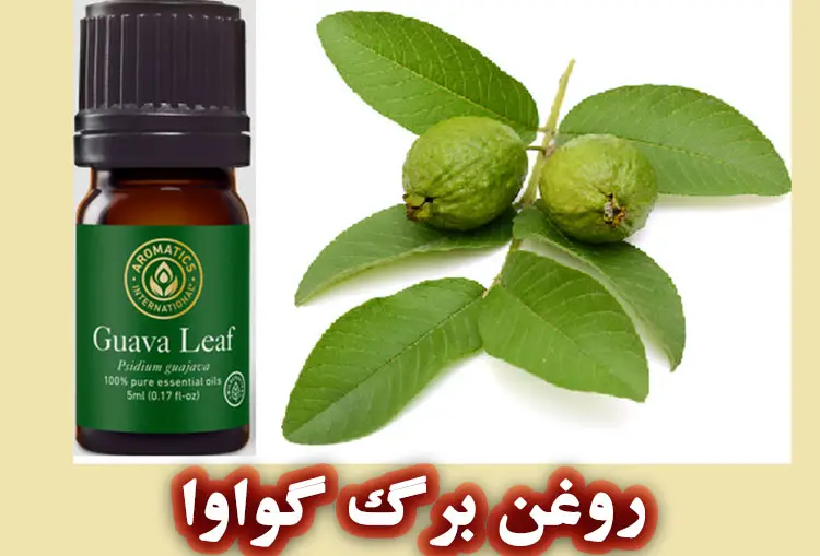 اسانس روغنی برگ گواوا