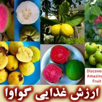 ارزش غذایی گواوا