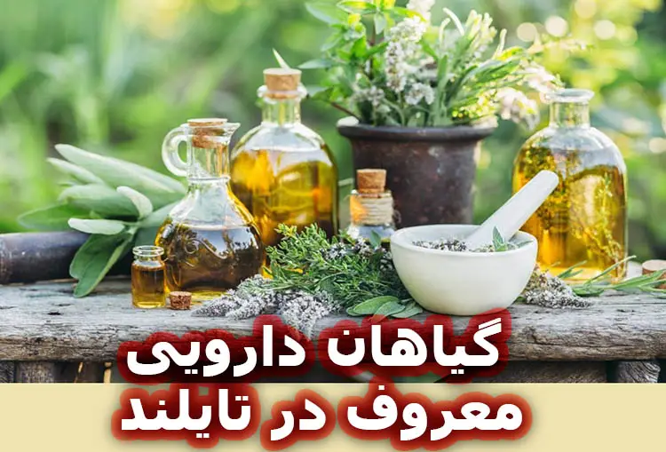 گیاهان دارویی معروف در تایلند