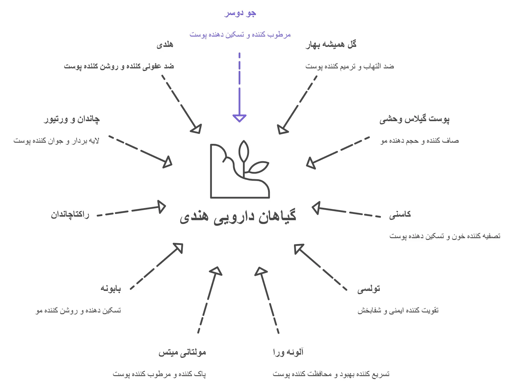 گیاهان دارویی هندی برای لوازم آرایشی 