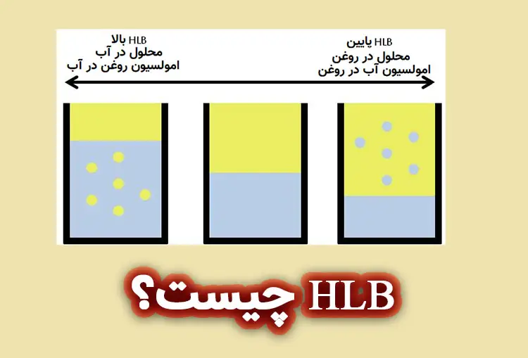 HLB چیست؟