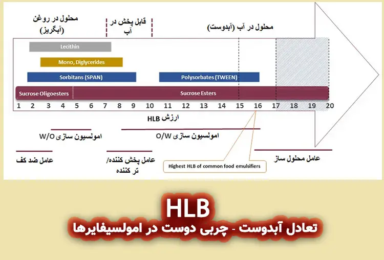 HLB چیست؟ تعادل بین آبدوستی و چربی‌دوستی