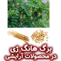 برگ هانگ ژی