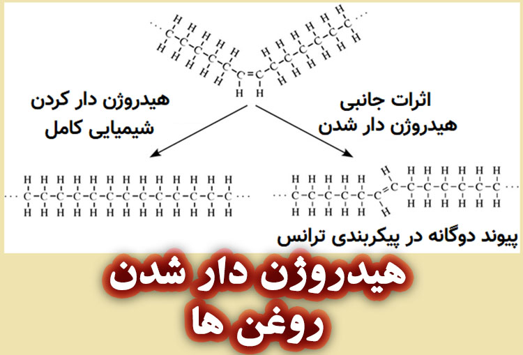 فرایند هیدروزن دار شدن روغن های گیاهی