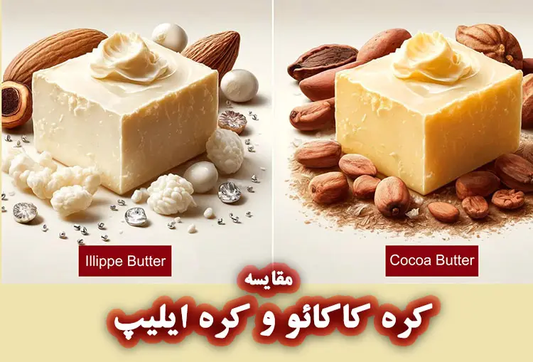 خواص کره کاکائو و کره ایپلیپ برای پوست و مو