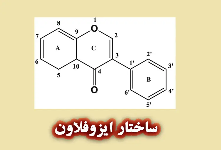 ایزوفلاون‌ های سویا چیستند؟