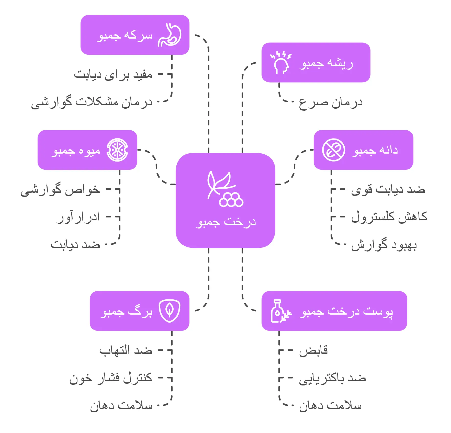 فواید درمانی بخش‌های مختلف درخت جمبو