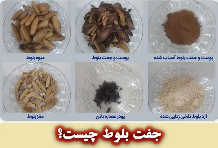 جفت بلوط چیست؟