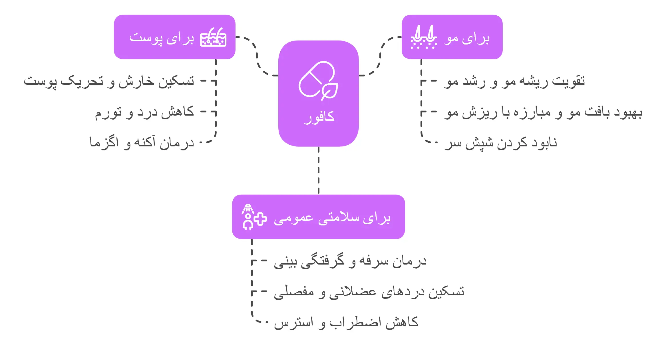کاربردها و فواید کافور